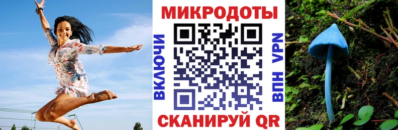 Псилоцибиновые грибы GOLDEN TEACHER  купить наркотики сайты  Шали 